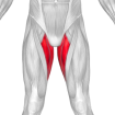 Hip Adductor icon