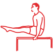 L Sit on Parallel Bar icon